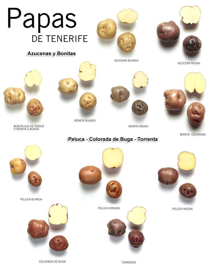 papas-de-Tenerife-1-copy
